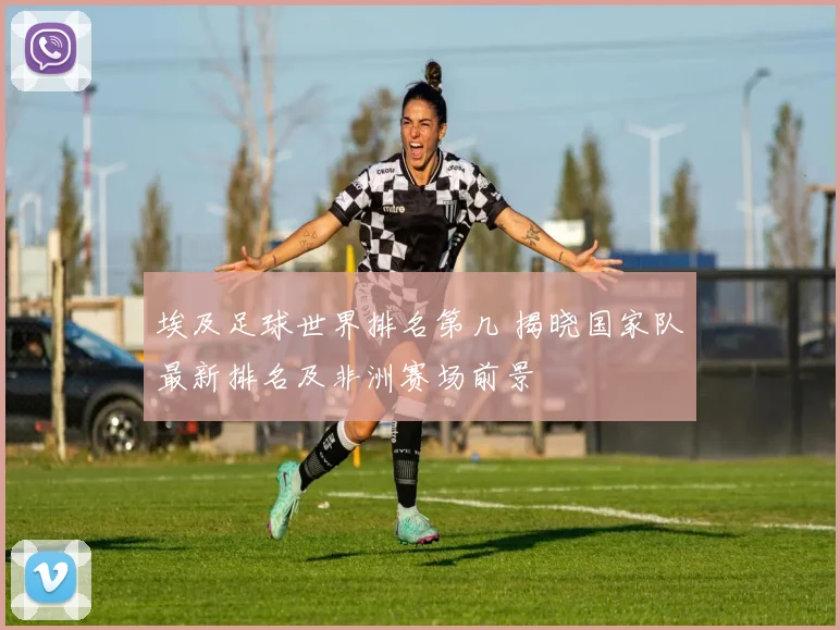 埃及足球世界排名第几 揭晓国家队最新排名及非洲赛场前景